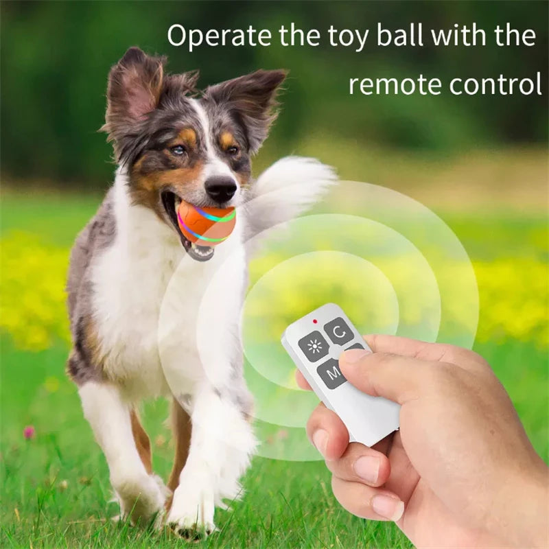 Interactive Dog Ball with or without Remote Control. w/ Flashing Lights, Rolls, Jumps and Rotates. Is Waterproof and made for the Aggressive Chewers