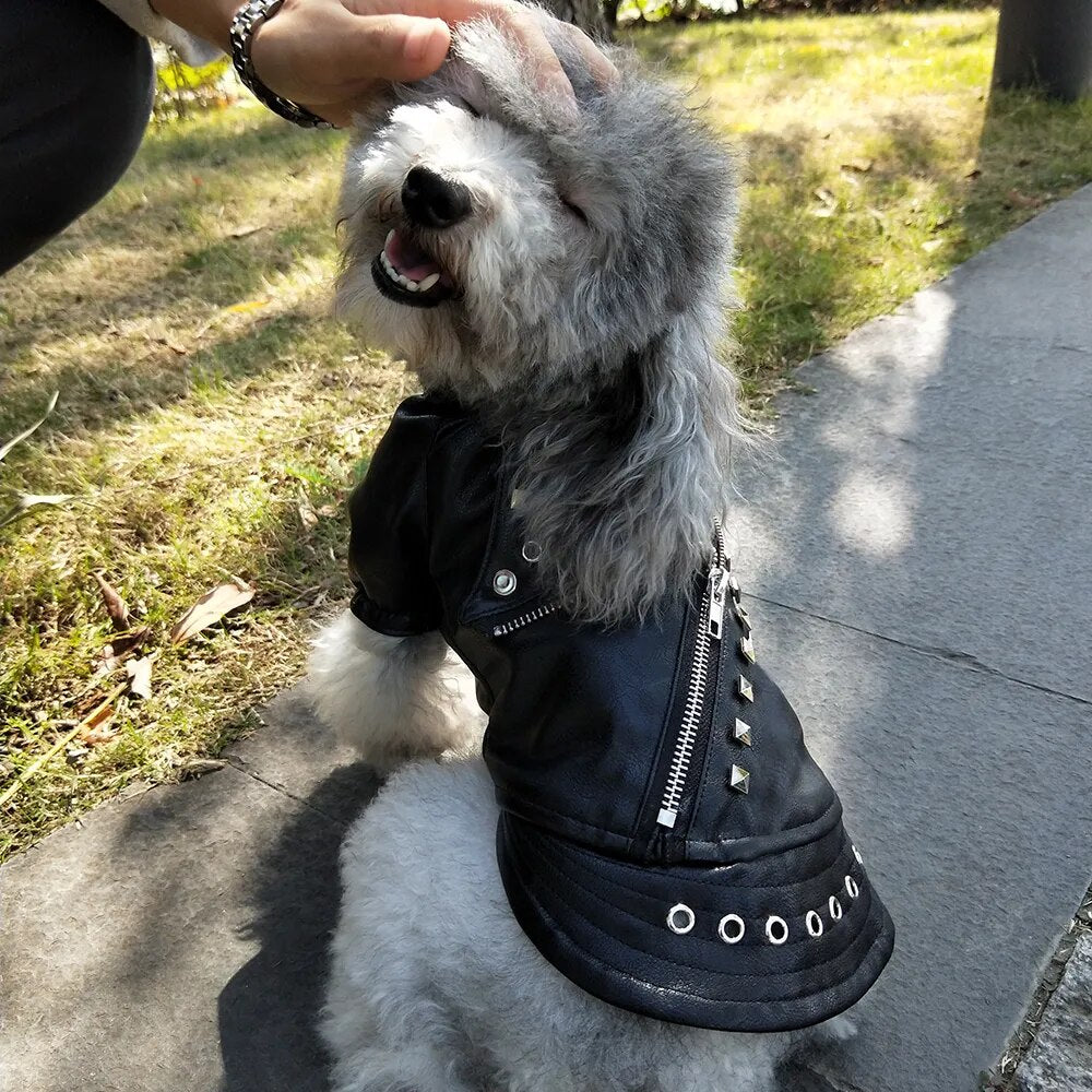 Stud PU Leather Jacket for Small Dogs or Cat