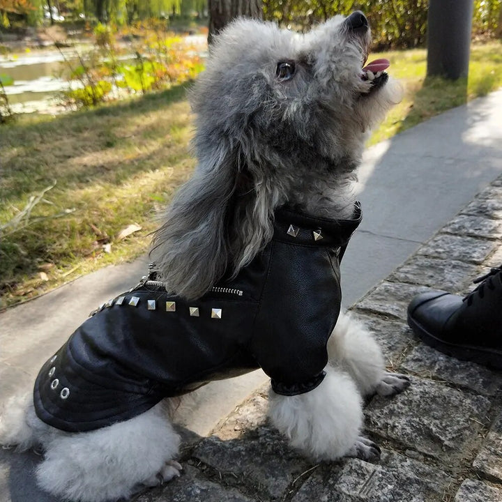 Stud PU Leather Jacket for Small Dogs or Cat