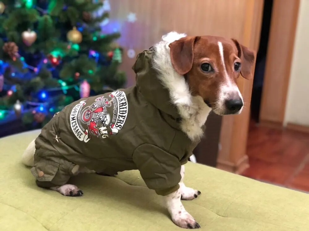 Small Dog Breed Full Body Winter Coat