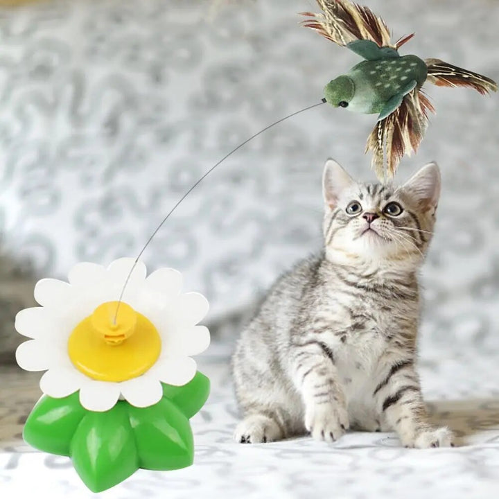 Cat Toy with Rotating Butterfly or Bird.