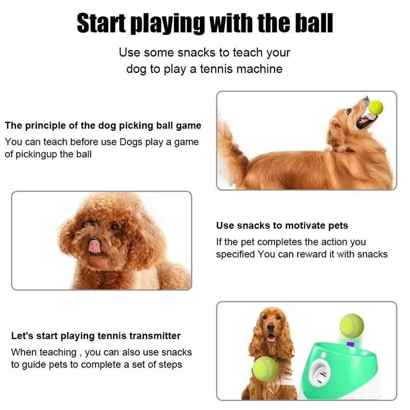 Small Dog Mini Tennis Ball Launcher - Perfect Indoor or Outdoor Interaction Fun - USB-Rechargeable