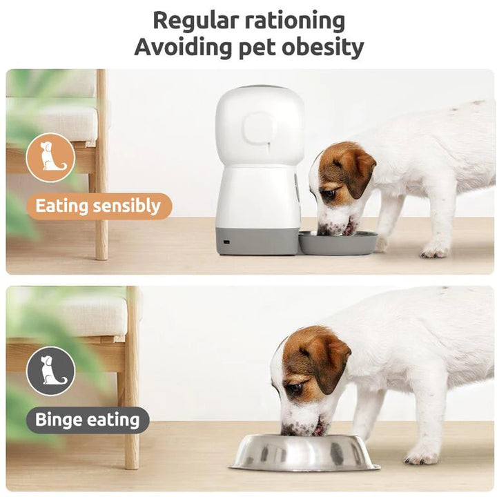 "Smart 3.5L Automatic Pet Food Feeder with Timed Meals, Voice Recording, & Spill-Proof Design – Perfect for Busy Pet Owners!"