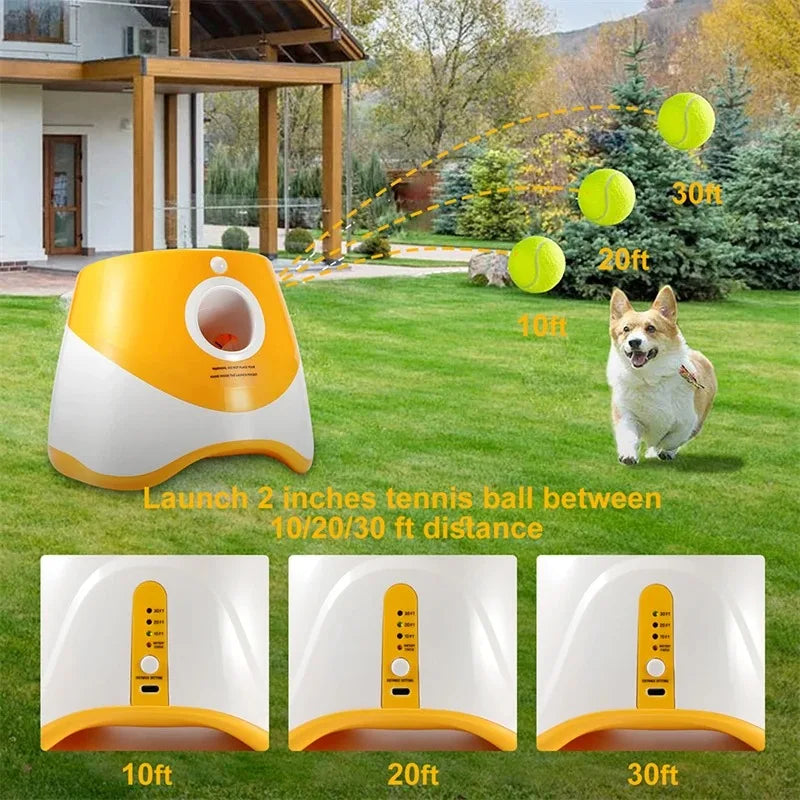 Small Dog Mini Tennis Ball Launcher - Perfect Indoor or Outdoor Interaction Fun - USB-Rechargeable