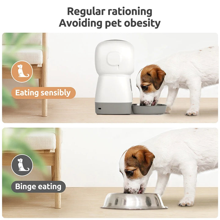 "Smart 3.5L Automatic Pet Food Feeder with Timed Meals, Voice Recording, & Spill-Proof Design – Perfect for Busy Pet Owners!"