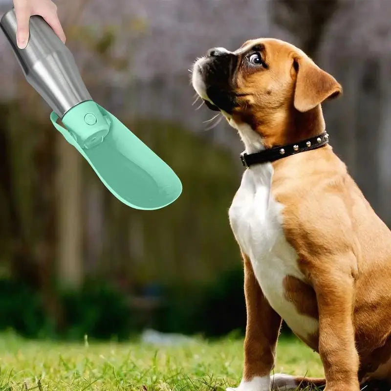 Stainless Steel Dog Water Dispenser Bottle - Great for Walking - Travel - Hiking - Cars