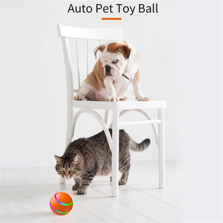 Interactive Dog Ball with or without Remote Control. w/ Flashing Lights, Rolls, Jumps and Rotates. Is Waterproof and made for the Aggressive Chewers