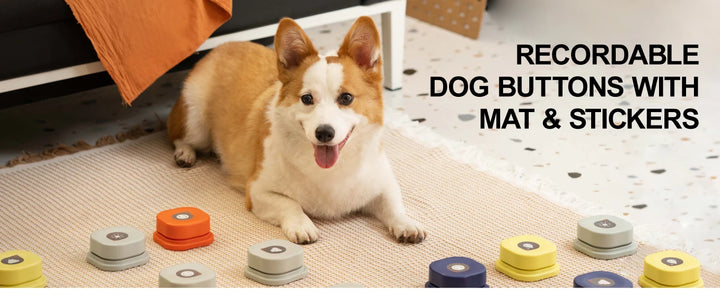 Train Your Dog to "Talk" with Interactive Dog Buttons & Mat