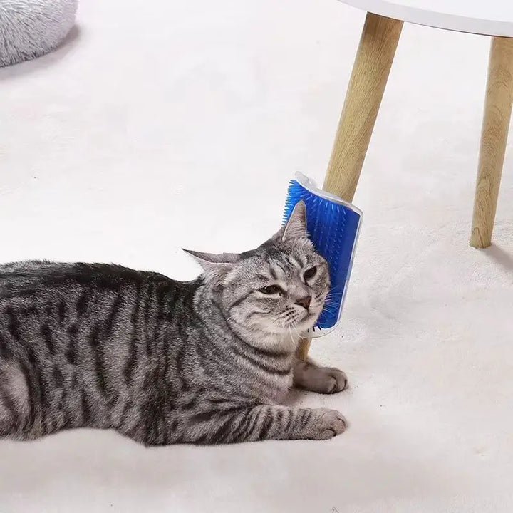 Cat Wall Scratcher - Do It Yourself