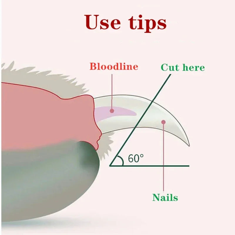 Safe Pet Nail Clippers - Comes with a LED Light to Safely Clip Your Cat or Small Dogs Nails