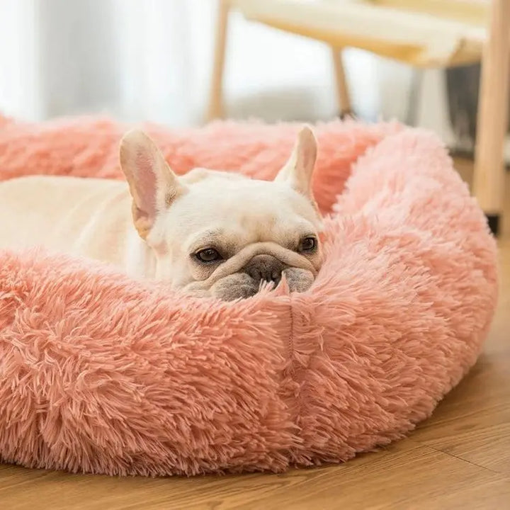 "Cozy Rectangle Plush Dog Bed – Warm Winter Mat for Dogs & Cats of All Sizes"