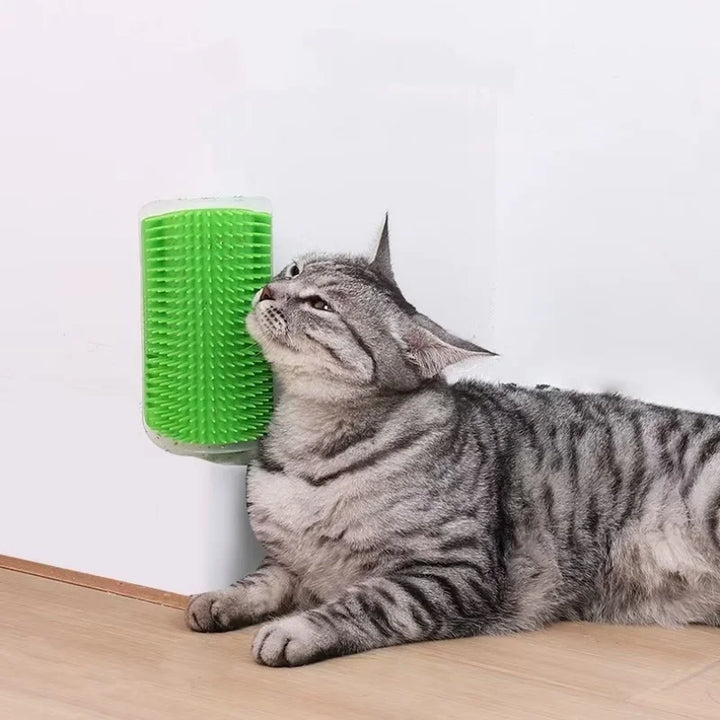 Cat Wall Scratcher - Do It Yourself