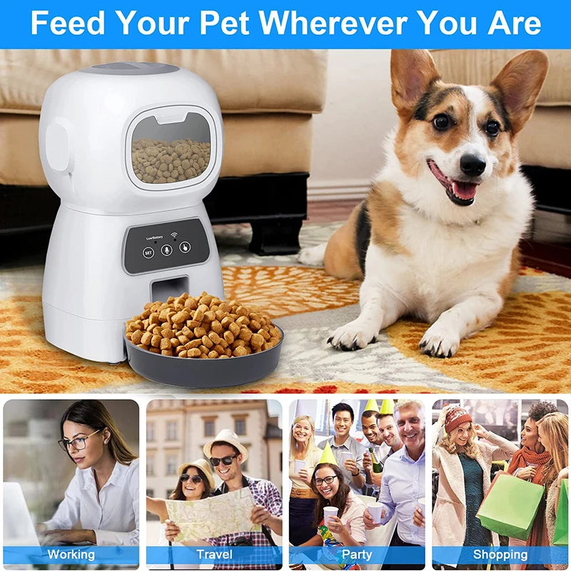 "Smart 3.5L Automatic Pet Food Feeder with Timed Meals, Voice Recording, & Spill-Proof Design – Perfect for Busy Pet Owners!"