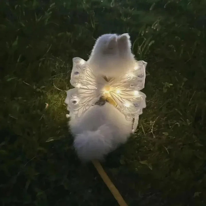 Dog Wings Glowing Butterfly Back Decoration Creative Cute Pet Accessories Dog Clothes for Small Medium Accessory Cat Supplies