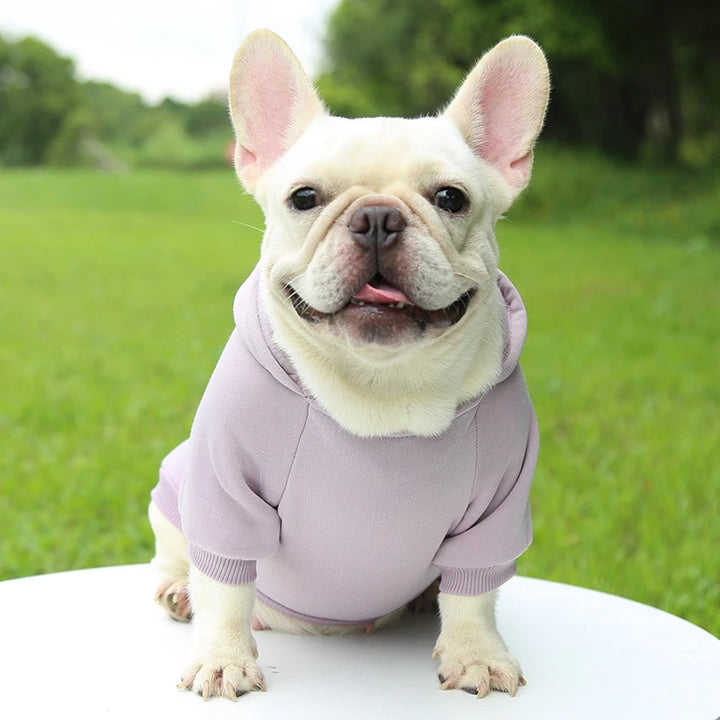 Warm Winter Cute Hoodie Fleece Jacket for Small to Medium Pets