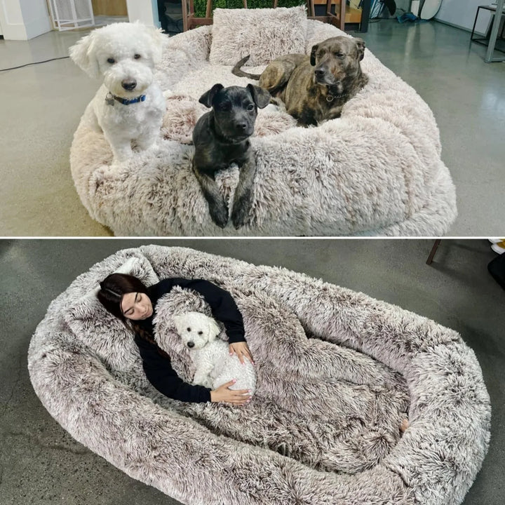 Extra-Large Dog Bed, 78"x43" Made of Memory Foam for Ultimate Comfort Comes with Fur Blanket and Pillow