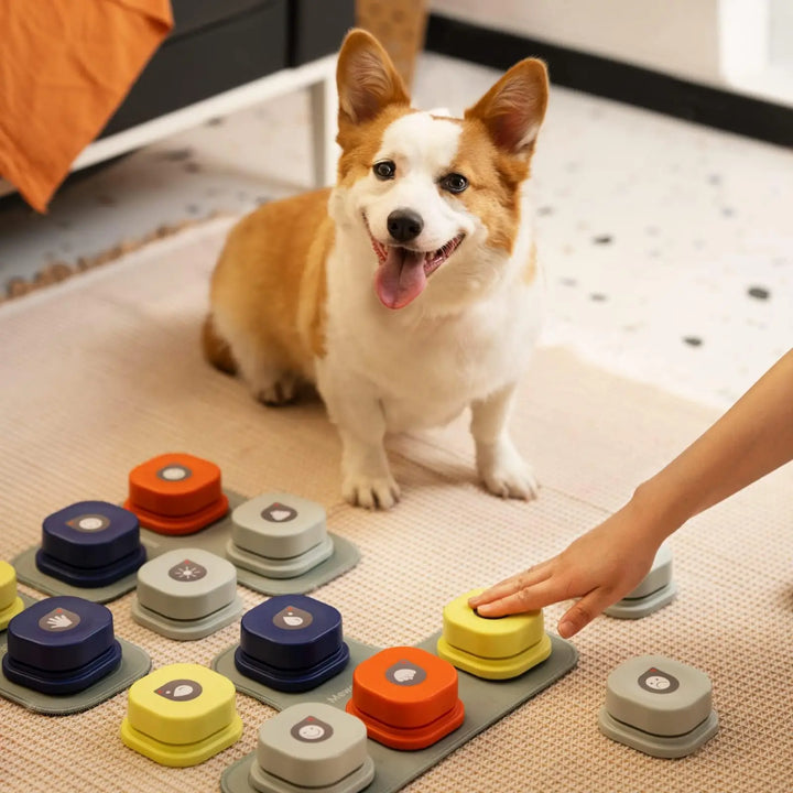 Train Your Dog to "Talk" with Interactive Dog Buttons & Mat