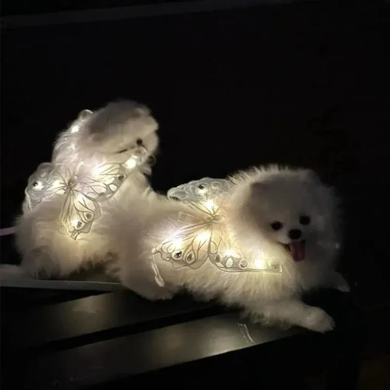 Dog Wings Glowing Butterfly Back Decoration Creative Cute Pet Accessories Dog Clothes for Small Medium Accessory Cat Supplies