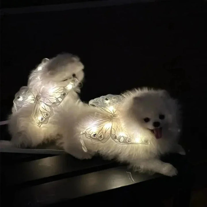 Dog Wings Glowing Butterfly Back Decoration Creative Cute Pet Accessories Dog Clothes for Small Medium Accessory Cat Supplies