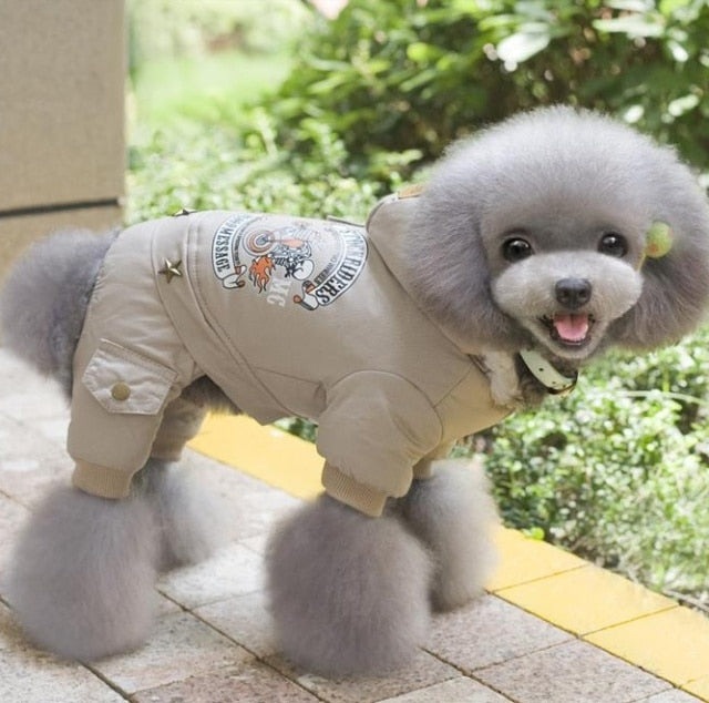 Small Full-Body Dog Coat