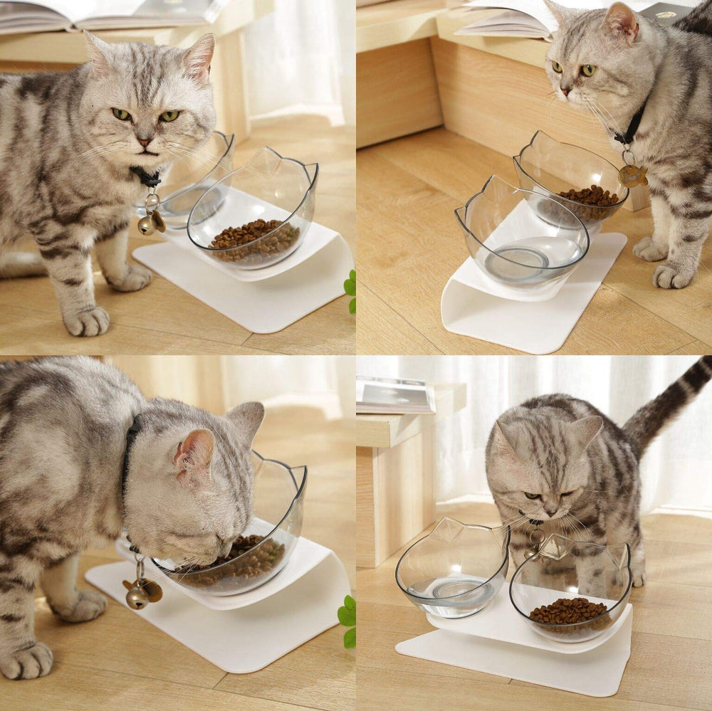 single cat bowl dish