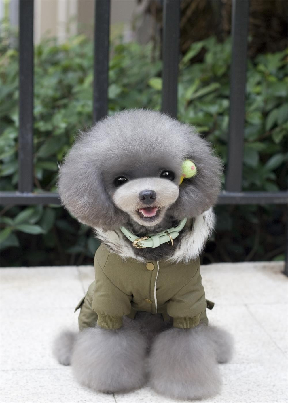 Small Full-Body Dog Coat